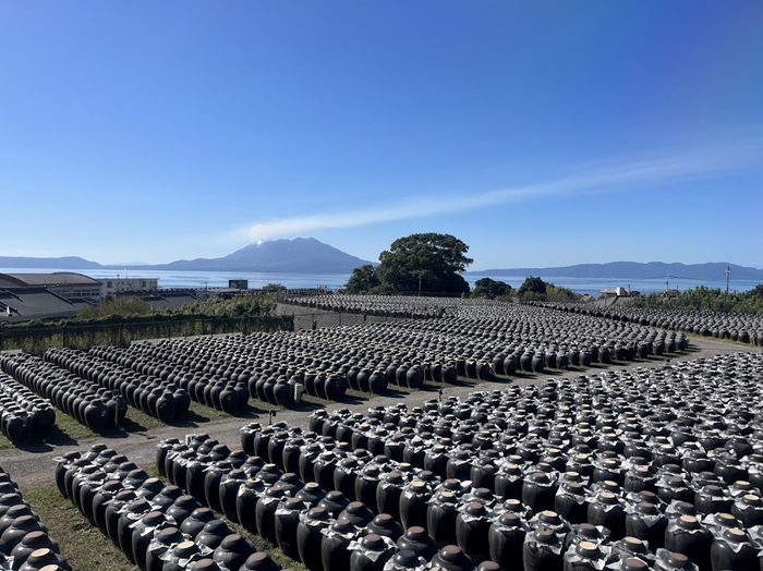 黒酢ガーデン壺畑